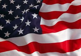 Image result for American Flag Portrait