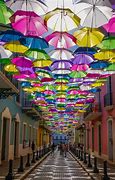 Image result for Old San Juan Activities