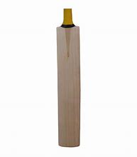 Image result for Cricket Bat Size 6