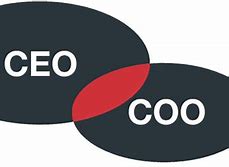 Image result for COO vs CFO