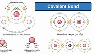 Image result for Covalent Compounds Characteristics Properties