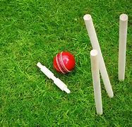 Image result for Cricket Name Photo