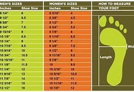Image result for 58 Inches in Feet