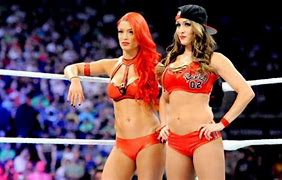 Image result for Top 5 WWE Divas