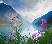 Image result for Top Wallpaper for Windows 10