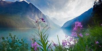 Image result for Themes Wallpaper Download Free