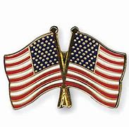 Image result for Double US Flag Pin