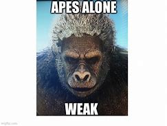 Image result for Ape Meme Moving Finger