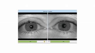 Image result for Dual Iris Scanner