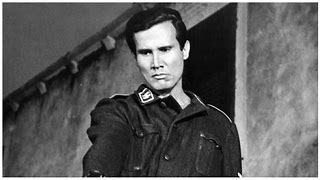 Image result for Henry Silva Roles