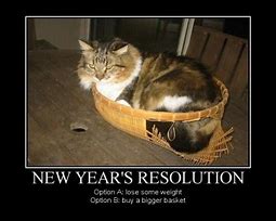 Image result for Humorous New Year's Resolutions Quotes