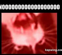 Image result for White Cat Meowing Meme