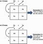 Image result for Homozygous Recessive Individual