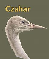 Image result for czahar