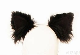 Image result for Black Cat Ears