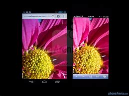 Image result for Nexus 4 vs iPhone 5