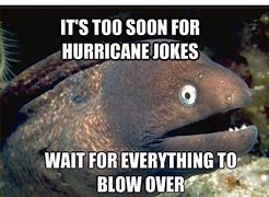 Image result for Funny Hurricane Pic