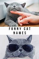 Image result for Meme Real Cat Names