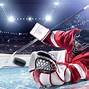 Image result for Ball Hockey Gear