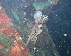 Image result for Sunken Ship Interior