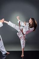 Image result for Female Karate Kick in the Face Stock