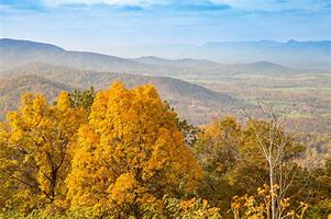 Image result for Shenandoah National Park Autumn