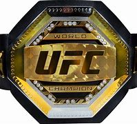 Image result for UFC Championship Belt