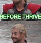 Image result for Old Thor Meme