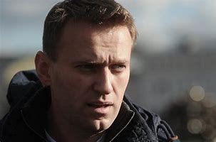 Image result for Navalny Beach