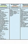 Image result for adenoidel