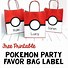 Image result for Pokemon Item Bag