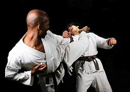 Image result for list of asian martial arts