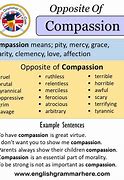 Image result for Synonyms for Compassion