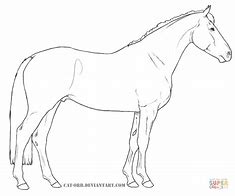 Image result for American Paint Horse Coloring Pages