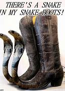 Image result for Skorpian Boots Meme