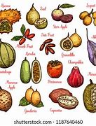 Image result for African Fruits List