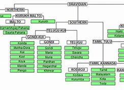 Image result for Dravidian Language Tree