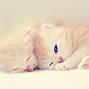 Image result for Cat iPhone 5 Case Amazon