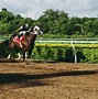 Image result for Race Horse Spectacular Bid