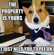 Image result for Animal Real Estate Memes