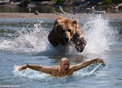 Image result for Putin Bear