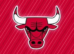 Image result for NBA Bulls Logo