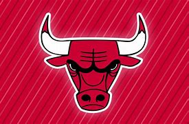 Image result for Chicago Bulls Design