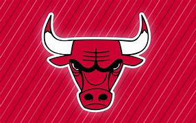 Image result for Chicago Bulls Logo