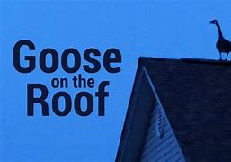 Image result for Goose Watching From the Roof Meme