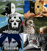 Image result for Gato Naruto Meme
