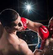 Image result for Boxing Knockout Punch