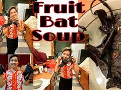 Image result for Fruit Bat Soup Palau