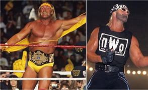 Image result for WWE Wrestling Hulk Hogan