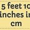 Image result for 155 Cm to FT